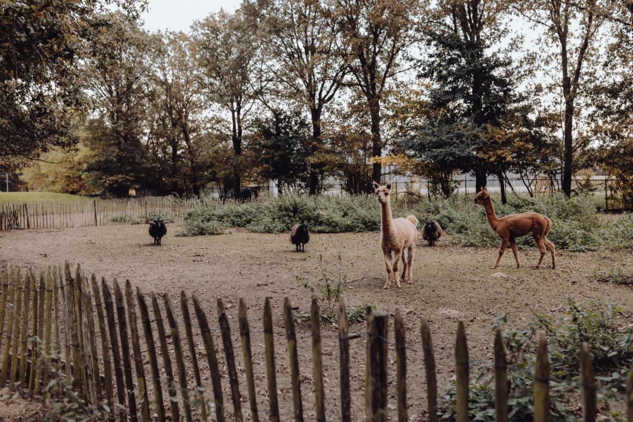 Het Hilkensberg Park Βίλα Broekhuizen  Εξωτερικό φωτογραφία