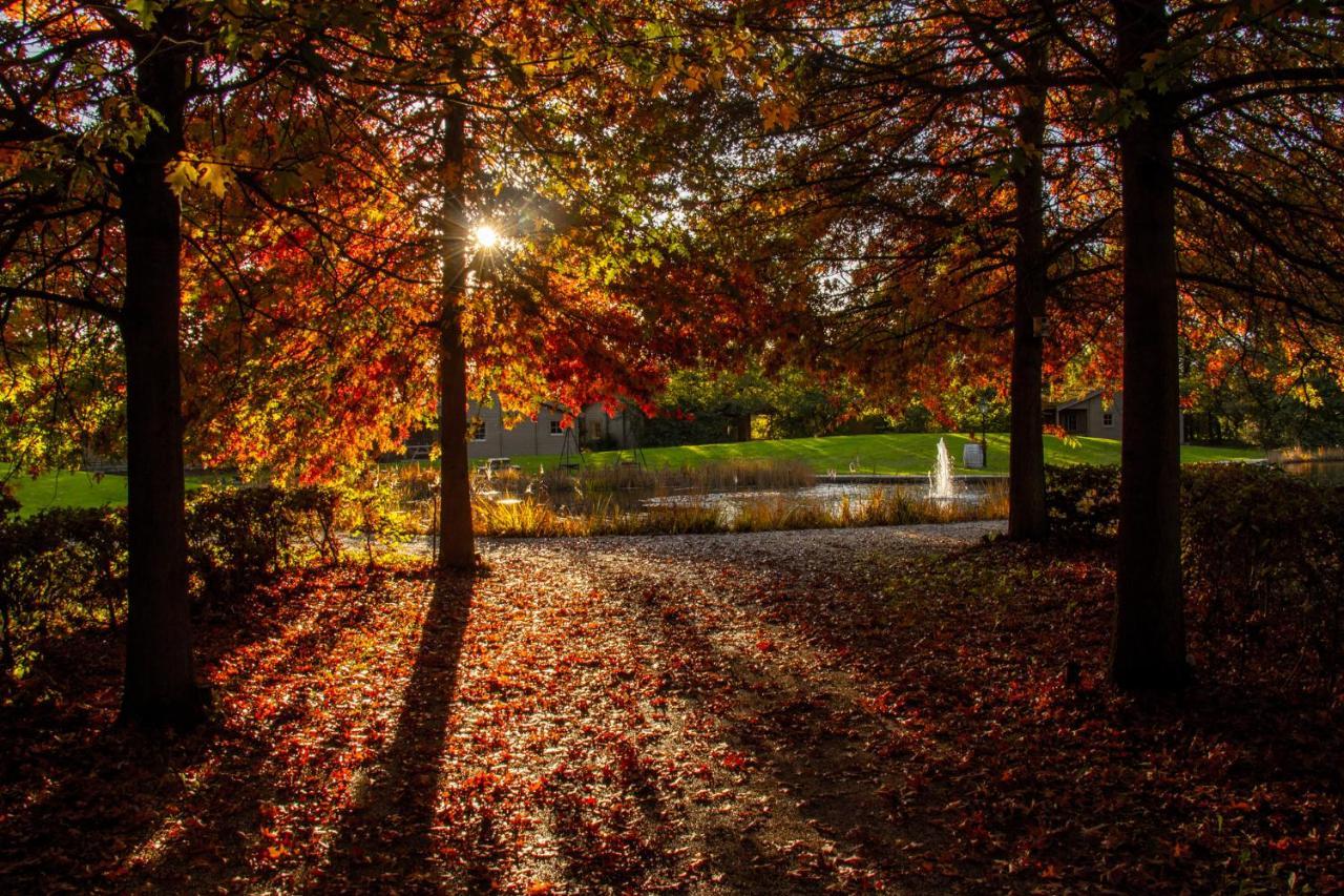 Het Hilkensberg Park Βίλα Broekhuizen  Εξωτερικό φωτογραφία